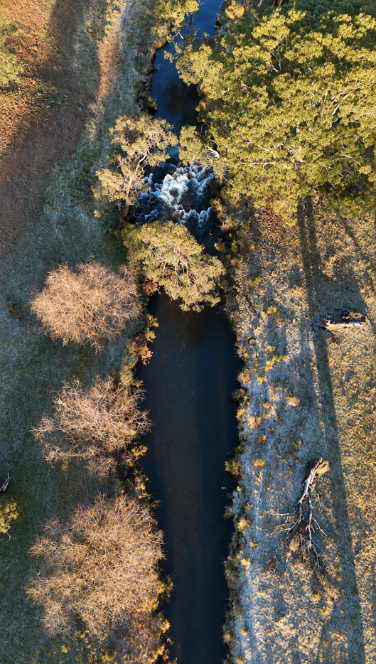 Fly fishing on the Moonbah River